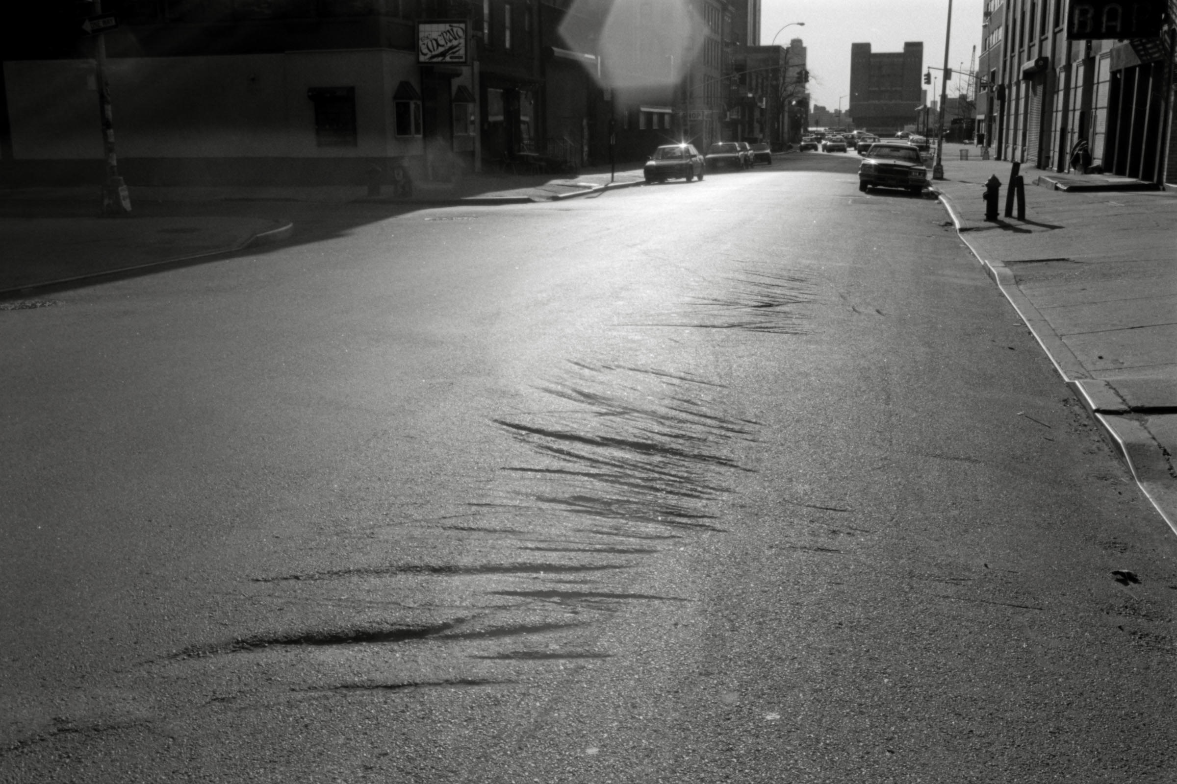 AHP F1995 04 009 sc240817 img03 NLP